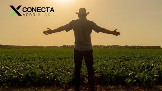 Desafios e Oportunidades para o Agronegócio em 2025