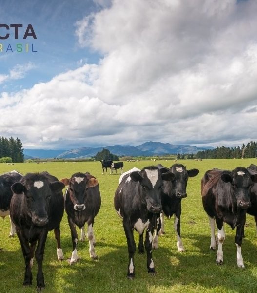 Bem-Estar Animal na Pecuária: Práticas e Benefícios