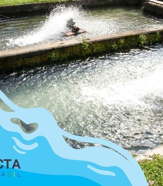 Criação de Peixes em Pequenas Propriedades: Dicas e Benefícios