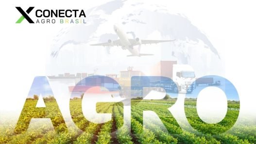 Exportações do Agronegócio: Principais Mercados e Oportunidades