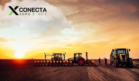 Perspectivas do Mercado Agrícola Brasileiro para 2025