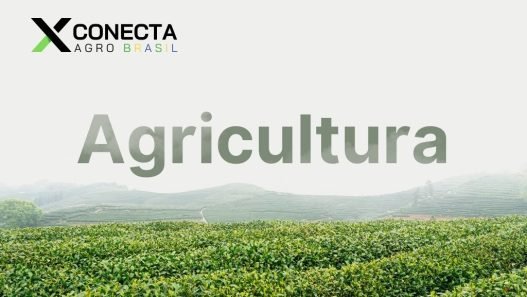 Estratégias para Aumentar a Produtividade Agrícola