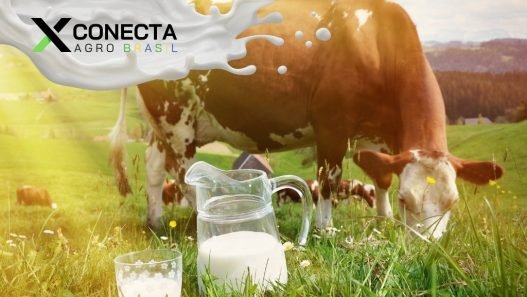 Tecnologias Inovadoras na Produção de Leite no Brasil