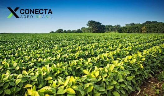 Produção Agroindustrial Registra Alta de 2,2% em 2024