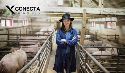 Cresce Exportações de Carne Suína do Brasil v