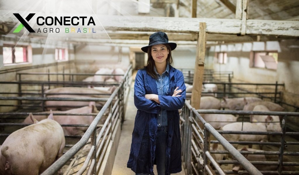 Cresce Exportações de Carne Suína do Brasil v
