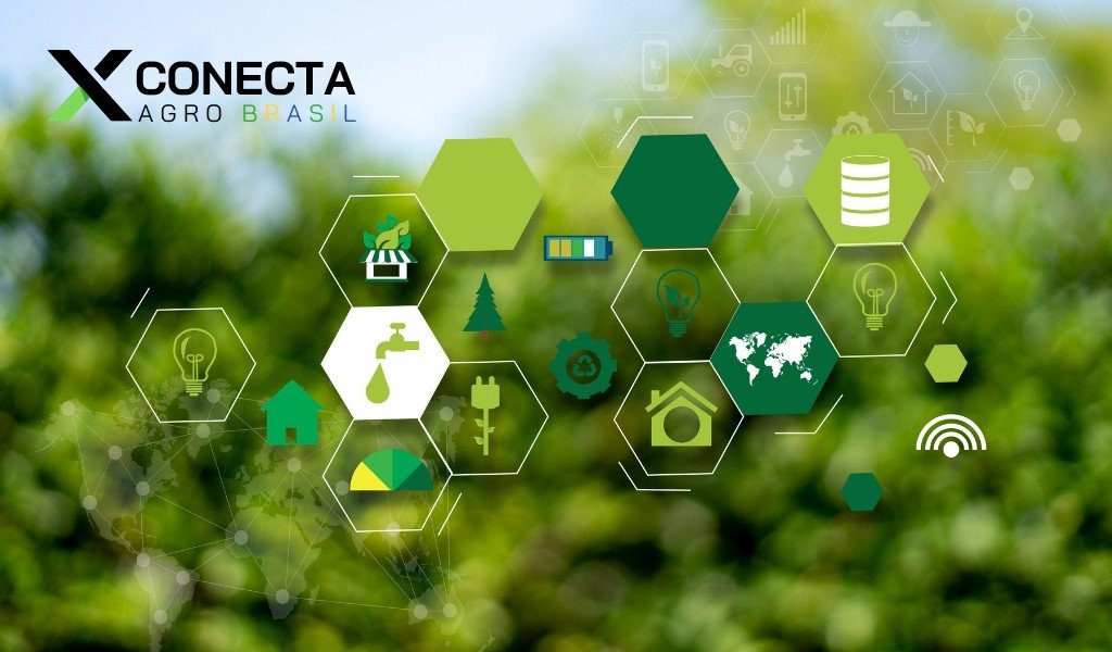 Genética, Insumos e Alta Produtividade: O Agro Brasileiro na Vanguarda