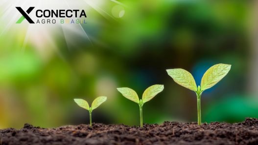 O Poder do Solo: Práticas para uma Agricultura Duradoura