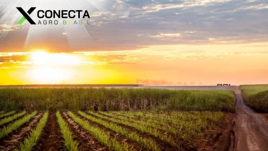 Da Cana ao Combustível: O Poder da Agroindústria