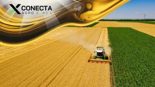 Grãos de Ouro: O Poder da Soja, Milho e Trigo