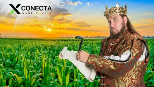 Quem é o Rei do Milho no Brasil atual?