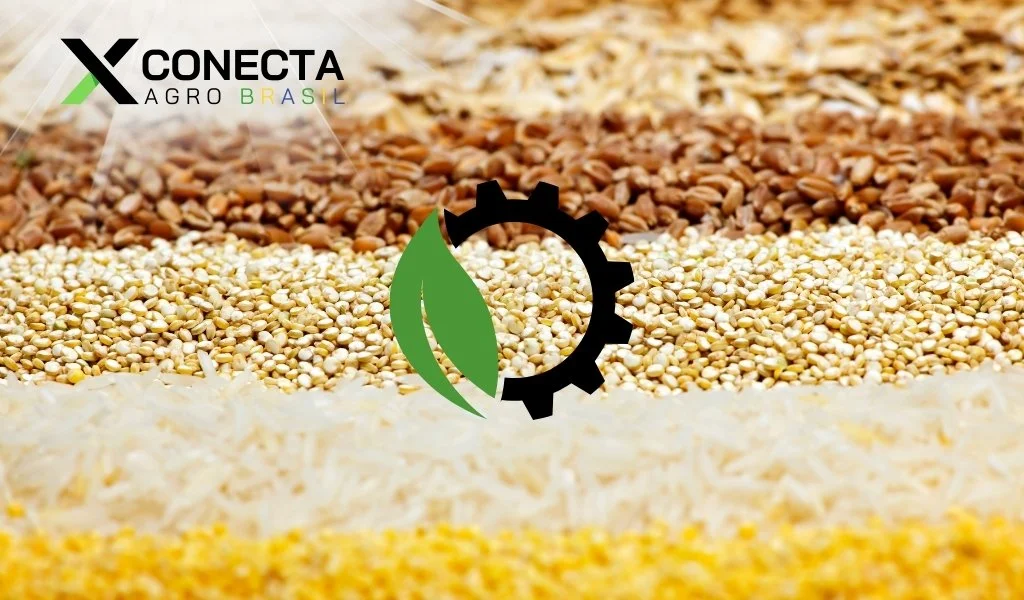 Sementes do Futuro: Resistindo à Seca no Campo