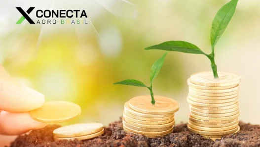 As 10 Cidades Mais Ricas do Agronegócio no Brasil