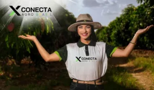 Hortifrúti em Pequenas Propriedades: Por Onde Começar