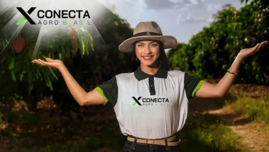 Hortifrúti em Pequenas Propriedades: Por Onde Começar