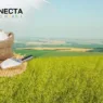 Rio Grande do Sul Domina a Produção de Aveia Branca no Brasil