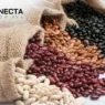 Paraná Brilha na Produção de Feijão
