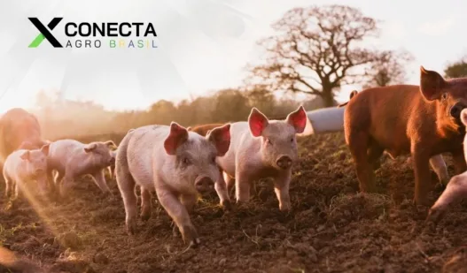 Santa Catarina: O Gigante da Carne Suína no Brasil!