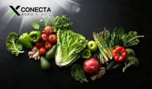 Agricultura de Luxo: Hortaliças Exclusivas para a Alta Gastronomia