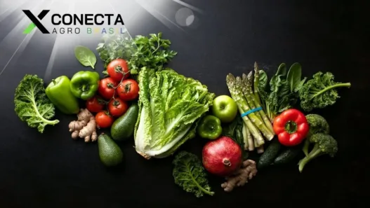 Agricultura de Luxo: Hortaliças Exclusivas para a Alta Gastronomia