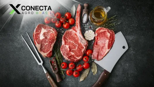 Mercado de Carne Premium: Como se Destacar com Gado de Qualidade
