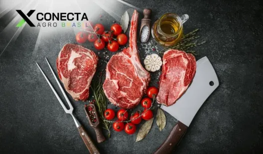 Mercado de Carne Premium: Como se Destacar com Gado de Qualidade