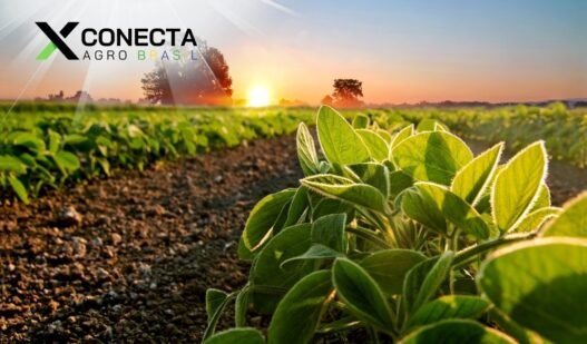 Coberturas para Soja Precoce: Sequências que Funcionam