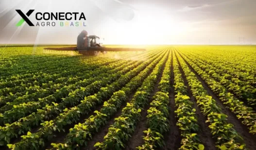 Maior produtor de soja do Brasil: Líder e Top 5