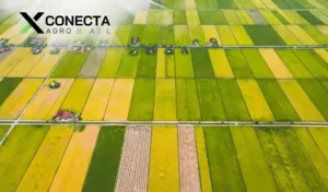 Rotação de culturas: por que isso deixa a terra “descansada” e mais produtiva?