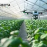Drones agrícolas de baixo custo: vale a pena investir?