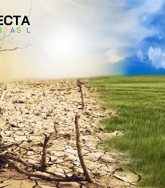 La Niña 2025: o que muda no campo e na sua feira