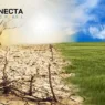 La Niña 2025: o que muda no campo e na sua feira