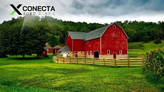 Máquinas que estão dominando as pequenas fazendas