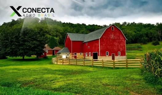 Máquinas que estão dominando as pequenas fazendas