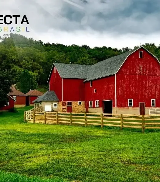 Máquinas que estão dominando as pequenas fazendas