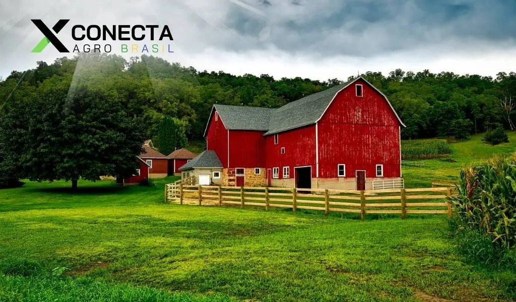 Máquinas que estão dominando as pequenas fazendas