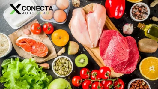 Ranking dos alimentos mais consumidos no Brasil que dependem do agro