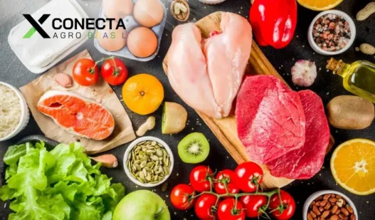 Ranking dos alimentos mais consumidos no Brasil que dependem do agro