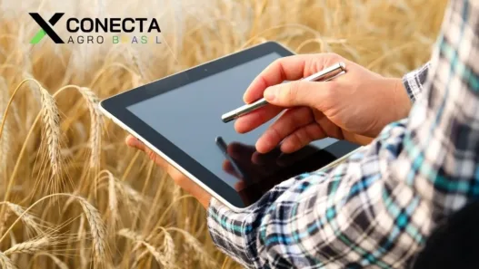 Tecnologias baratas que pequenos produtores já estão usando