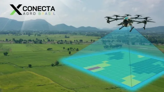 Tendências 2026 do Agro Brasileiro: O que Vai Mudar no Campo