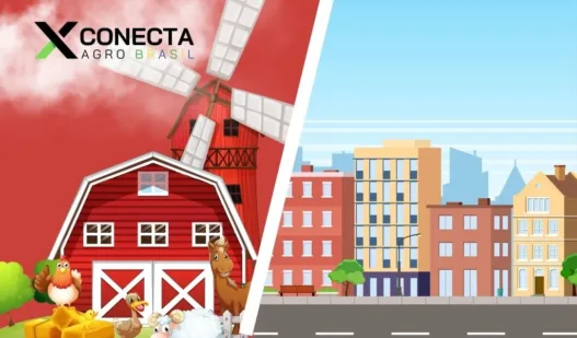 Do sítio para a cidade: o sucesso dos produtores que vendem direto ao consumidor