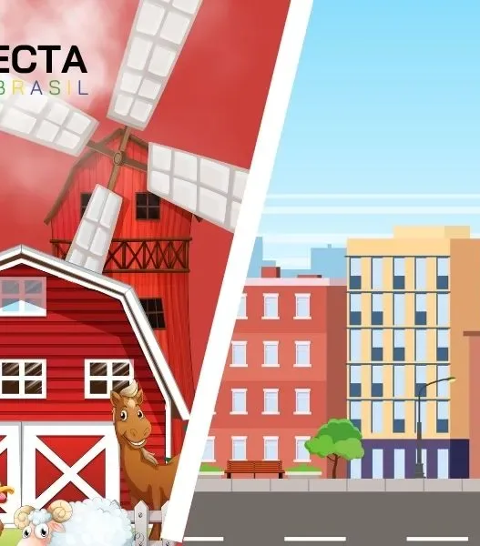 Do sítio para a cidade: o sucesso dos produtores que vendem direto ao consumidor