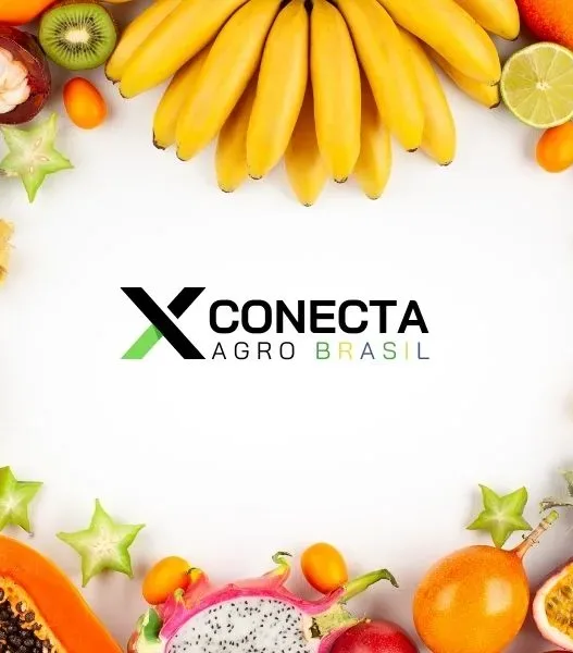 As frutas mais exportadas pelo Brasil em 2025