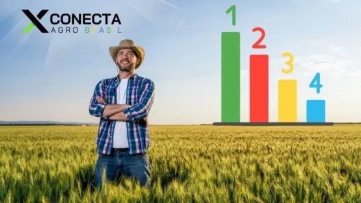 Ranking do Agro por Região: Como Cada Parte do Brasil Impulsiona a Produção Nacional
