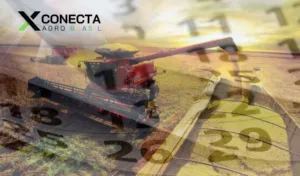 Calendário do produtor: como usar levantamentos da Conab ao longo do ano