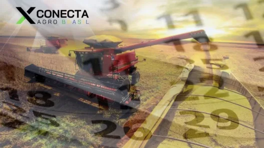 Calendário do produtor: como usar levantamentos da Conab ao longo do ano