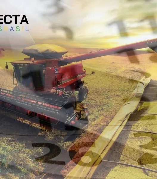 Calendário do produtor: como usar levantamentos da Conab ao longo do ano