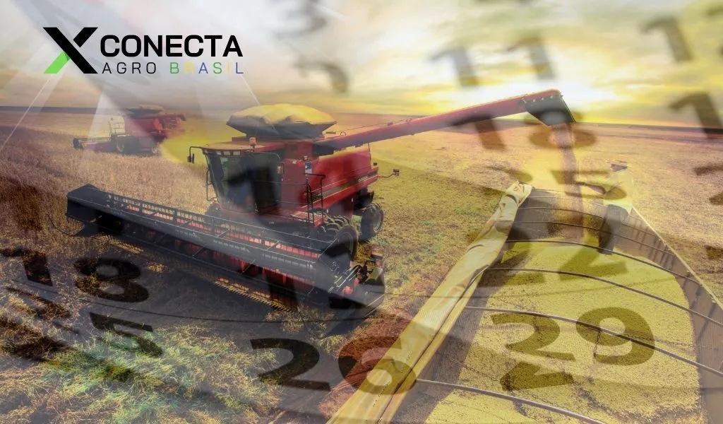 Calendário do produtor: como usar levantamentos da Conab ao longo do ano