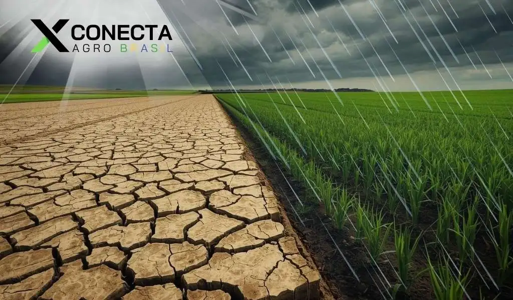 Chuvas irregulares: como ajustar a janela de plantio em 2026?