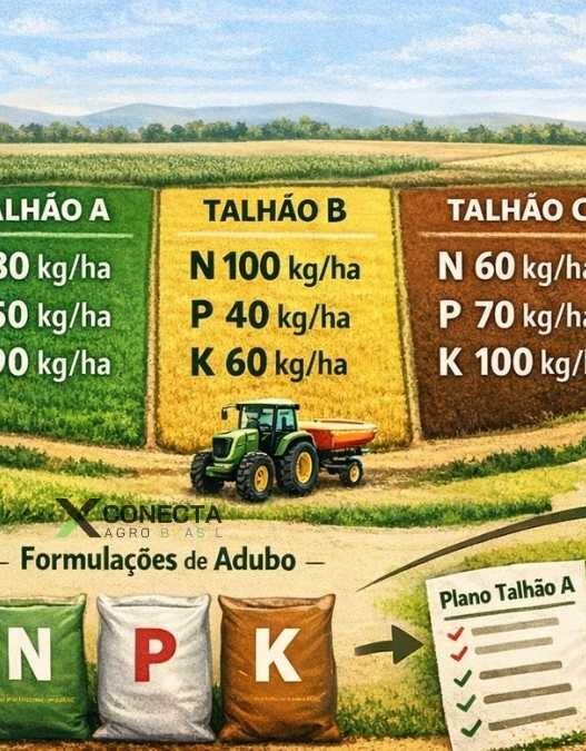 Adubação de sistema: como planejar NPK por talhão
